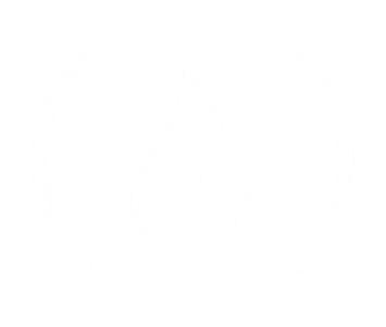 freeCodeCamp logo